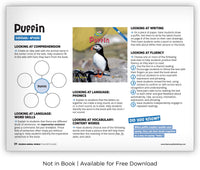 Puffin from Zoozoo Animal World