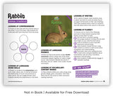 Rabbit from Zoozoo Animal World