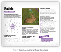 Rabbit from Zoozoo Animal World