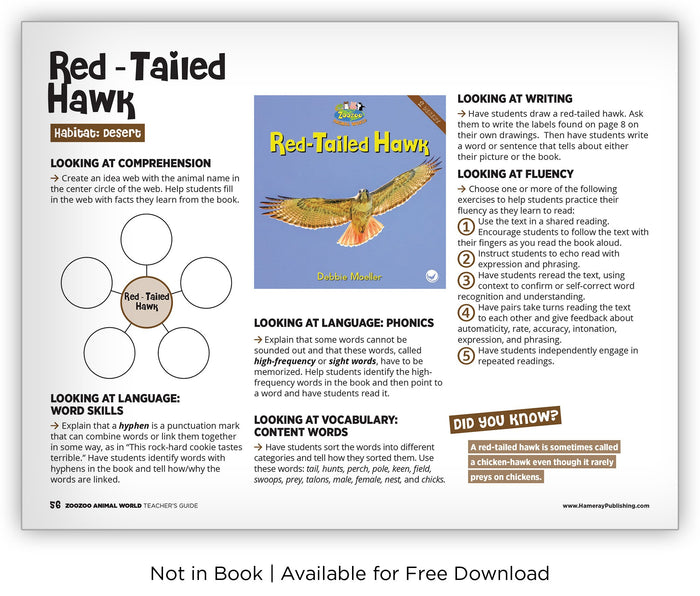 Hawk Reading Red-Tailed Hawk - Zoozoo Animal World - Hameray Publishing