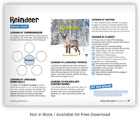 Reindeer from Zoozoo Animal World