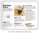 Scorpion from Zoozoo Animal World