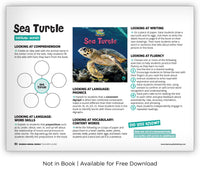 Sea Turtle from Zoozoo Animal World