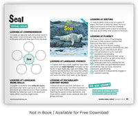 Seal from Zoozoo Animal World