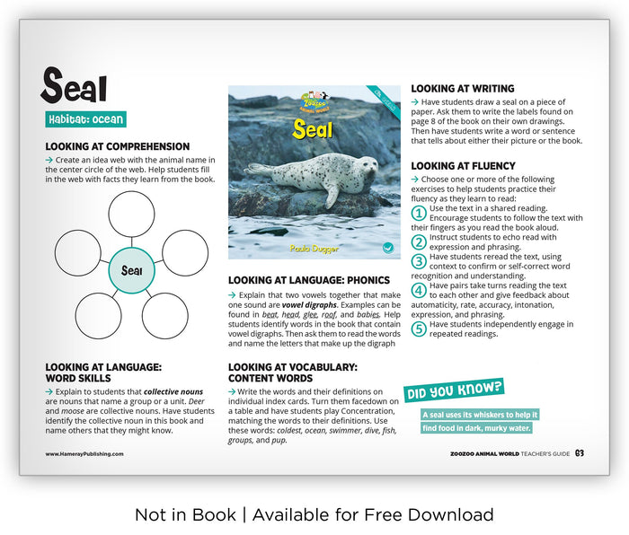 Seal from Zoozoo Animal World