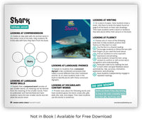 Shark from Zoozoo Animal World