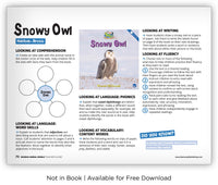 Snowy Owl from Zoozoo Animal World