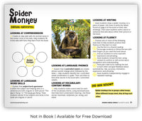 Spider Monkey from Zoozoo Animal World