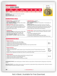 Squirrels from Kaleidoscope Collection