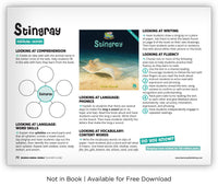 Stingray from Zoozoo Animal World