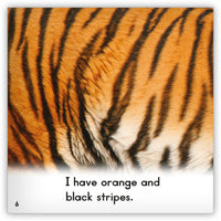 Tiger from Zoozoo Into the Wild