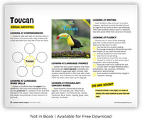 Toucan from Zoozoo Animal World