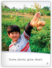 Up and Down from My World