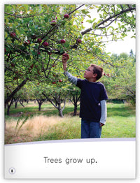 Up and Down from My World