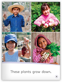 Up and Down from My World