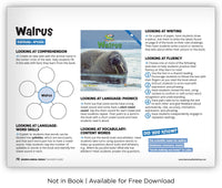 Walrus from Zoozoo Animal World