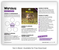 Warthog from Zoozoo Animal World