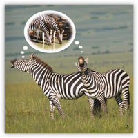 We Are Thirsty from Zoozoo Into the Wild