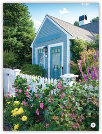 What Are Plants? from My World