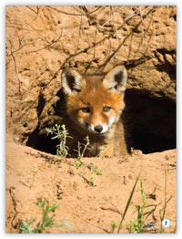 Where Do Animals Live? from My World