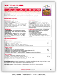 White-Tailed Deer from Kaleidoscope Collection