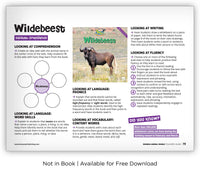 Wildebeest from Zoozoo Animal World