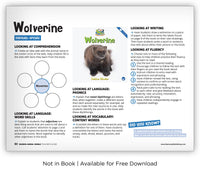 Wolverine from Zoozoo Animal World