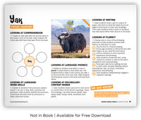 Yak from Zoozoo Animal World