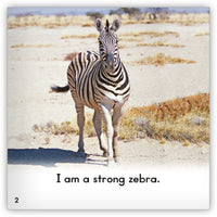 Zebra from Zoozoo Into the Wild