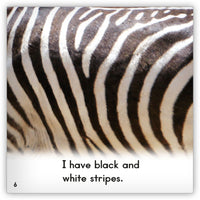 Zebra from Zoozoo Into the Wild