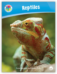 Reptiles from My World