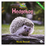 Hedgehog from Zoozoo Animal World