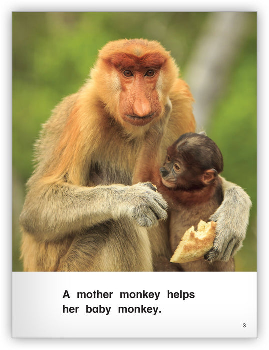 Help Me Monkey Help Me! - Kaleidoscope Collection - Hameray Publishing