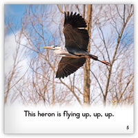 Heron from Zoozoo Animal World