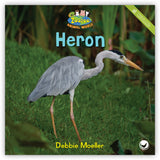Heron from Zoozoo Animal World