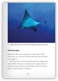 Hide and Sneak from Underwater Encounters