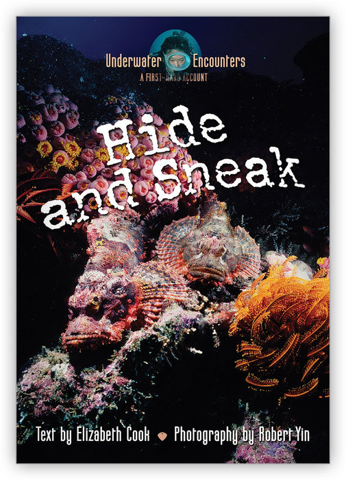 Hide and Sneak from Underwater Encounters