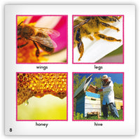 Honeybee from Zoozoo Animal World