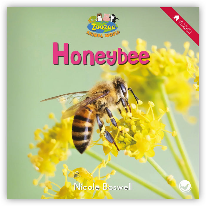 Honeybee from Zoozoo Animal World