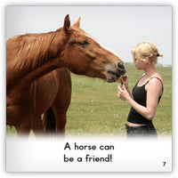 Horse from Zoozoo Animal World