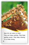 How Bees Make Honey from Fables & the Real World