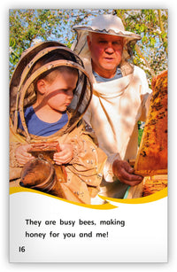 How Bees Make Honey from Fables & the Real World