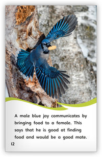 How Do Birds Communicate? from Fables & the Real World