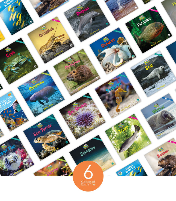 Aquatic Animals Theme Set (6-Packs)
