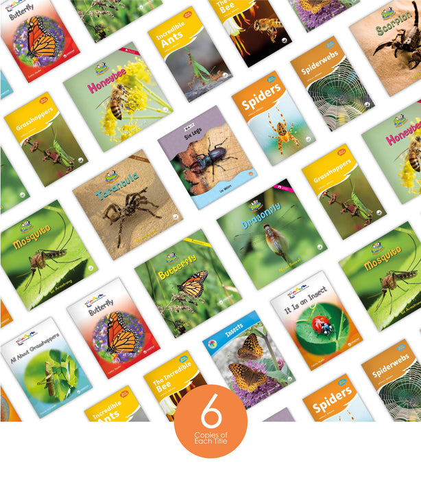 Insects & Spiders Theme Set (6-Packs)