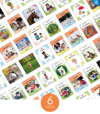 Spanish Level A Guided Reading Set from Various Series