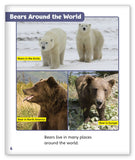 Bears from Story World Real World