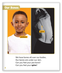 Bones from Story World Real World