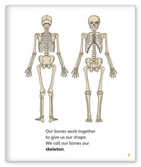 Bones from Story World Real World