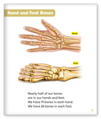 Bones from Story World Real World